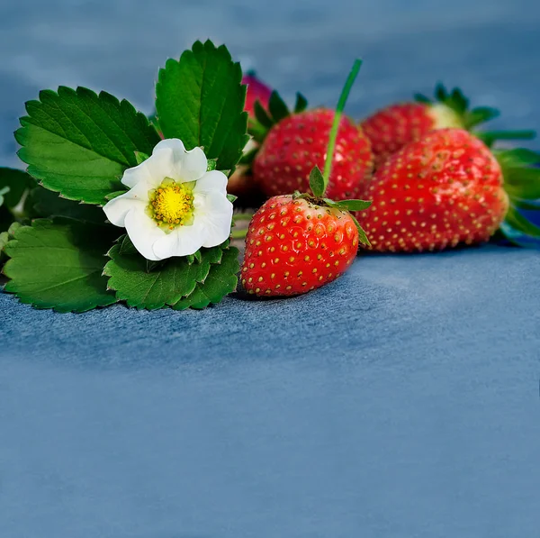 Rode aardbeien — Stockfoto