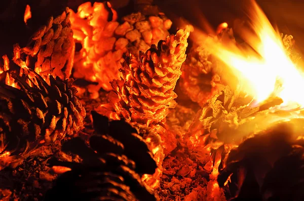 Feuer mit Holzkohle — Stockfoto