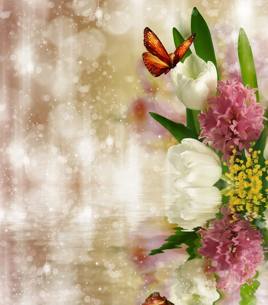 Butterfly on flowers — Stock Photo, Image