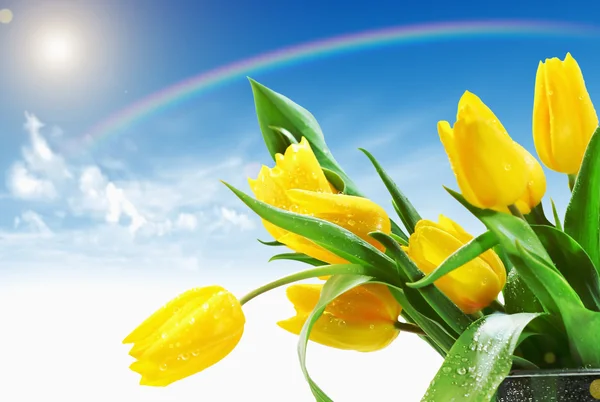 Beautiful spring — Stock Photo, Image