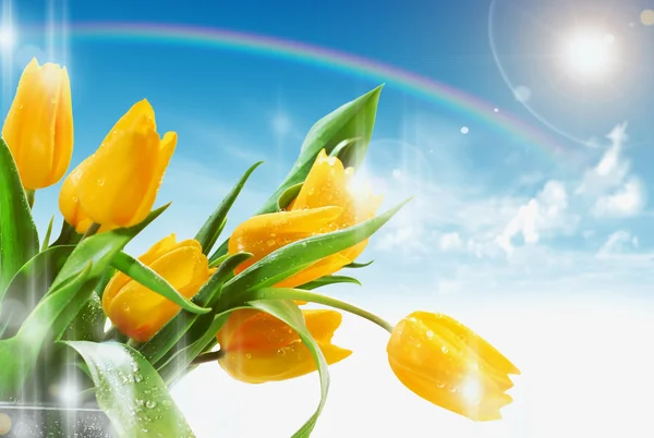 Beautiful spring — Stock Photo, Image