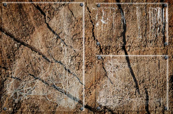 Textura de madeira fundo — Fotografia de Stock