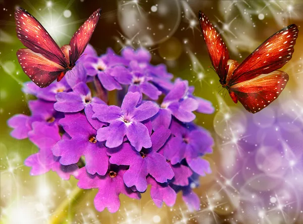 Flores de primavera — Foto de Stock