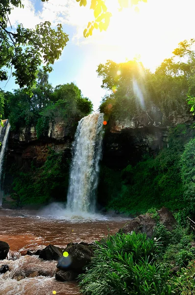 Iguazu falls — Stock Photo, Image