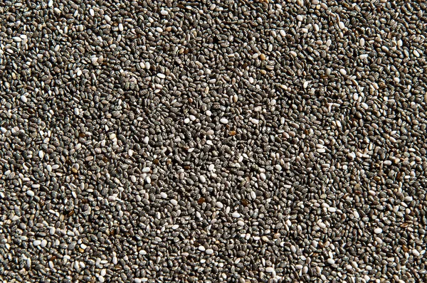 Chia Royalty Free Stock Obrázky