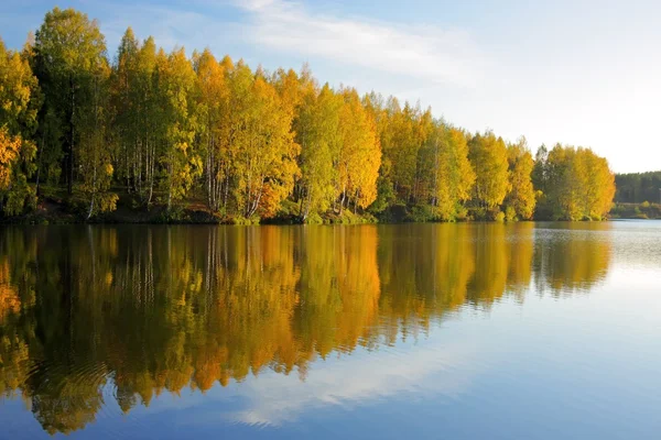 Outono. Árvores refletidas na água — Fotografia de Stock