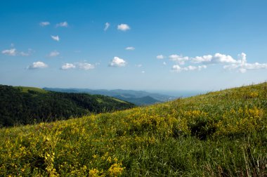 bahar zamanı dağlarda