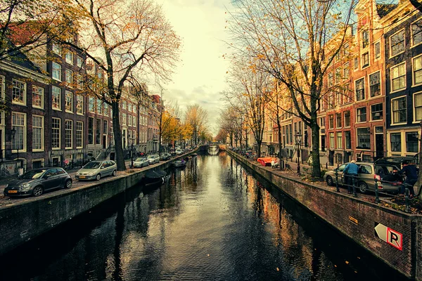 Amsterdammer — Stockfoto