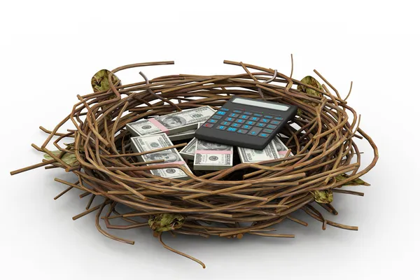 Dollar and calculator protected in nest — Stock Photo, Image