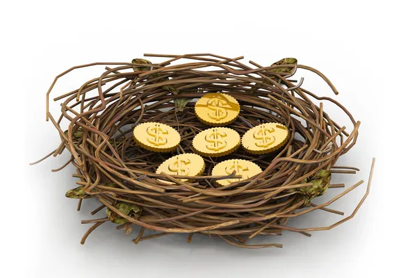 Dollar coin in nest — Stock Photo, Image