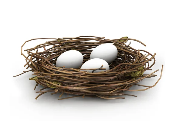 Huevo y nido —  Fotos de Stock