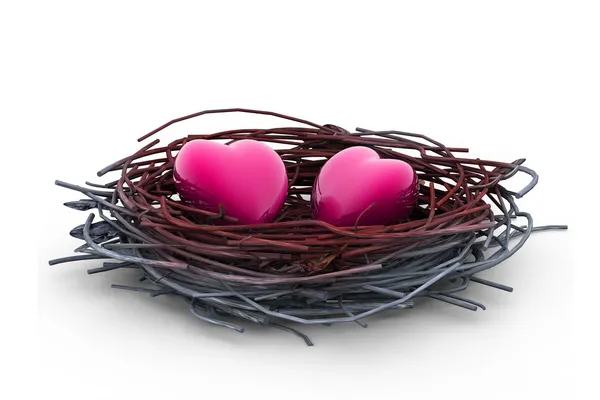 Love heart and nest — Stock Photo, Image