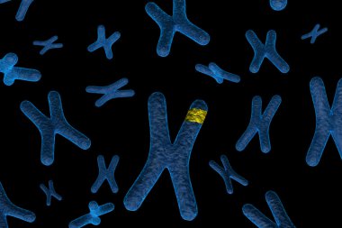 Marked Chromosome clipart