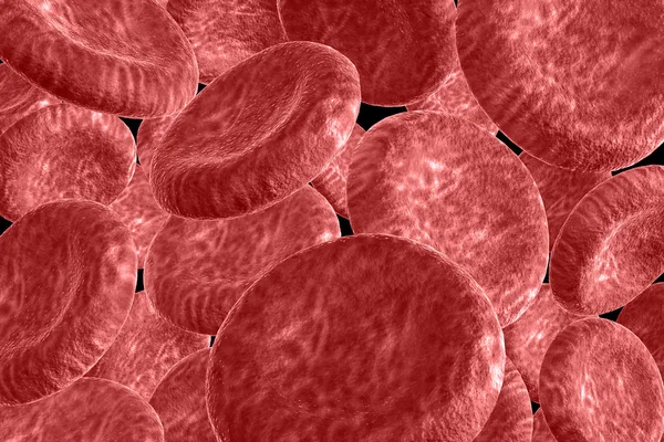 Cellules sanguines — Photo