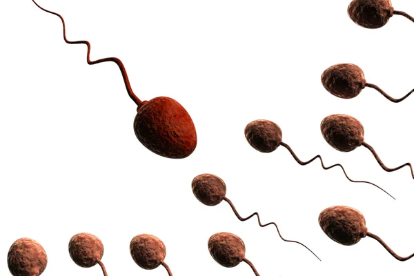 Cellules spermatozoïdes en compétition et rouge une victoire — Photo