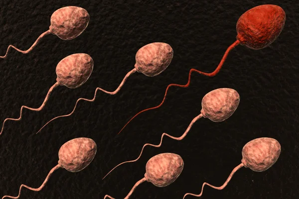 Células de esperma competindo e vermelho uma vitória — Fotografia de Stock