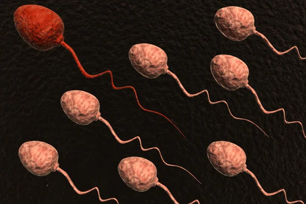 경쟁 하는 정자 세포와 빨간색 한 승리 — 스톡 사진
