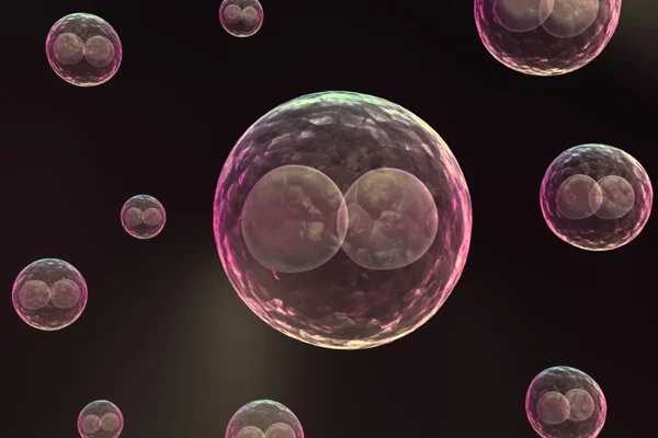 Биологические клетки — стоковое фото