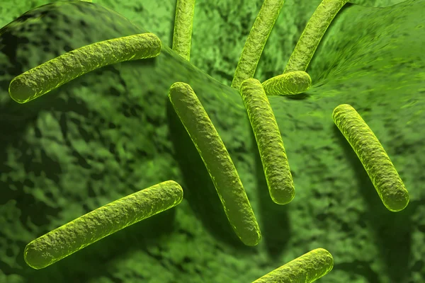 Bacteriën — Stockfoto