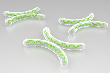 Kromozom dijital arka planda