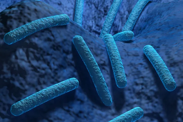 Bacteria — Stock Photo, Image