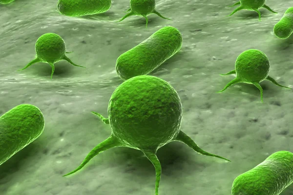 Virus en bacteriën — Stockfoto