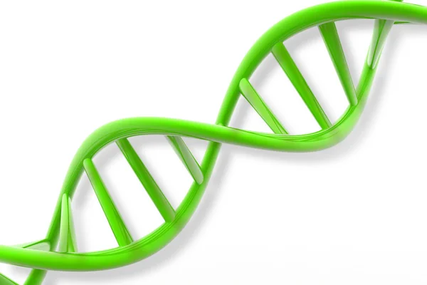 3D ДНК — стокове фото