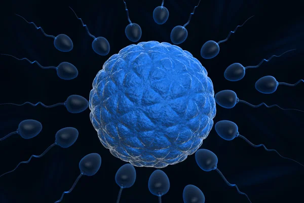 3d Inseminazione di ovuli umani — Foto Stock