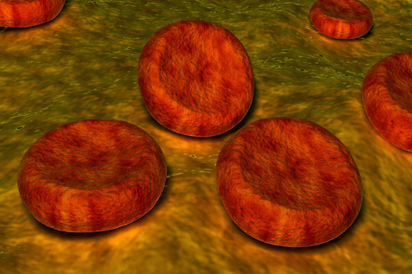 Blood cells