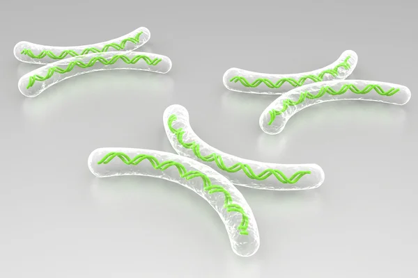 Chromosome in digital background — Stock Photo, Image