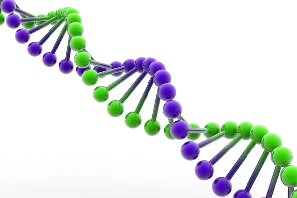3-я ДНК — стоковое фото