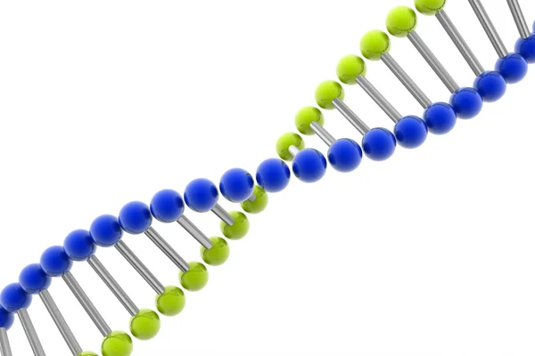 3d DNA:ta — kuvapankkivalokuva