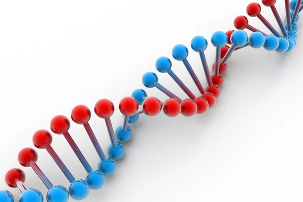 3D-s DNS — Stock Fotó