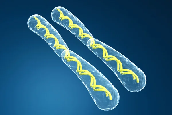 Chromosom — Zdjęcie stockowe