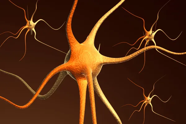 Close-up render of neuron brain cells — Stock Photo, Image