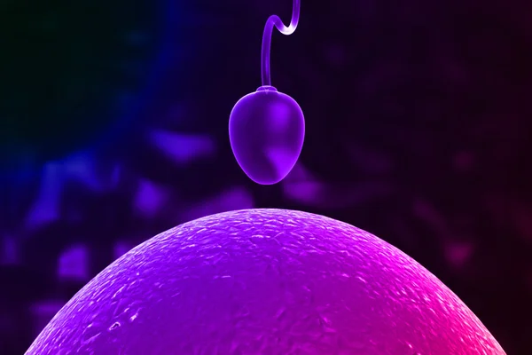 Spermie a vajíčko — Stock fotografie