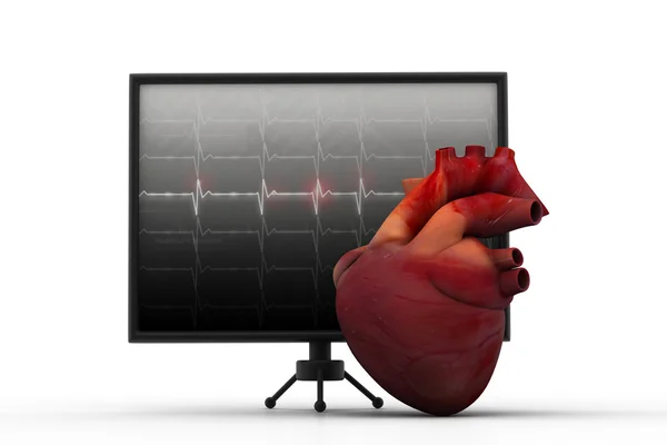 Cuore umano con cardiofrequenzimetro ECG — Foto Stock