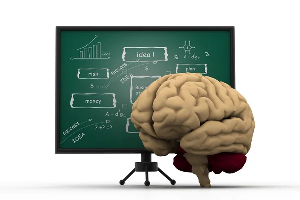 Brain with business strategy board.( brainstorming concept) — Stock Photo, Image