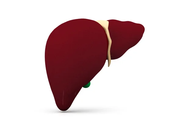 Beyaz arka planda 3D insan karaciğer — Stok fotoğraf