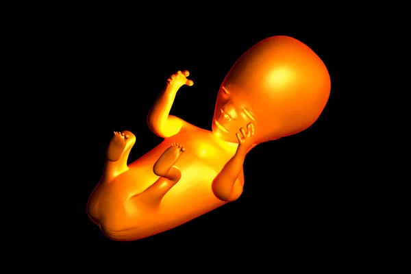 人类胎儿 — 图库照片