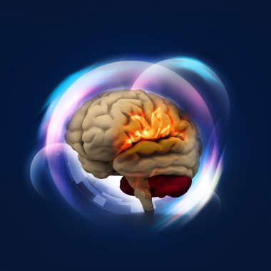 insan beyninin arka plan