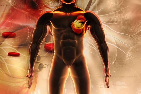 Ilustración digital del cuerpo humano en resumen antecedentes médicos — Zdjęcie stockowe