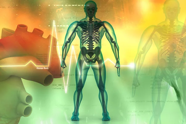 Digital illustration of human body — Stock Photo, Image