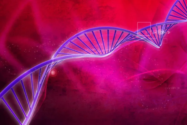 Illustration numérique de l'ADN — Photo