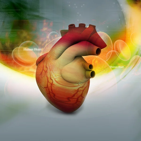 Ilustração digital do coração humano em fundo abstrato — Fotografia de Stock