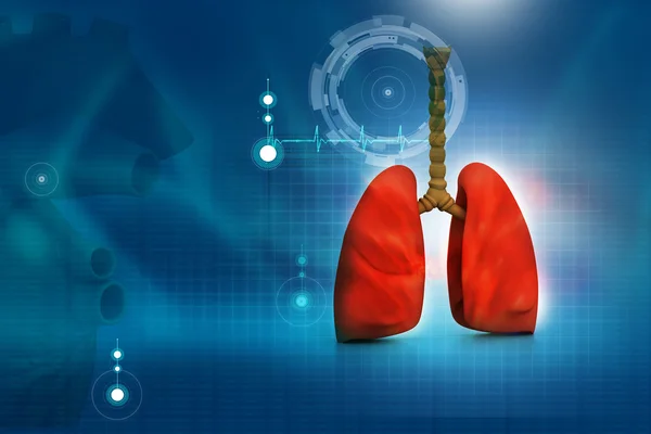 Human lungs in abstract digital design — Stock Photo, Image