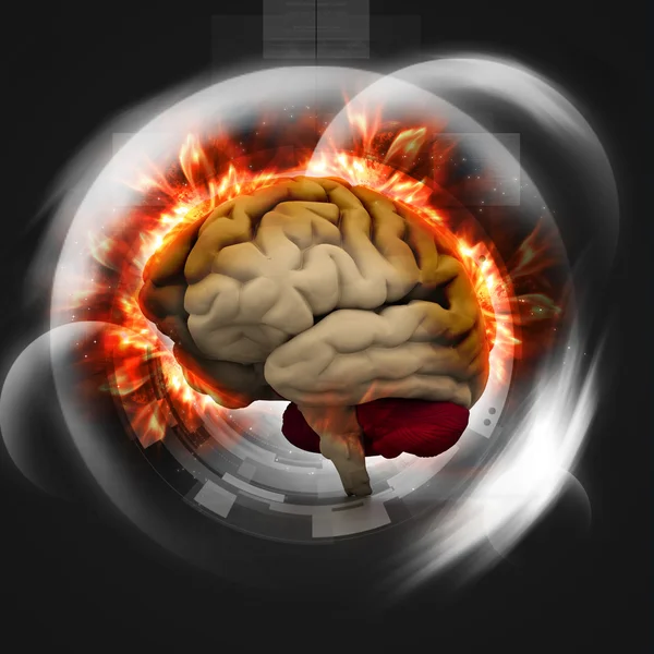 Digitális illusztráció az emberi agy — Stock Fotó