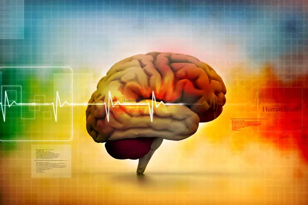 insan beyninin içinde tıbbi arka plan