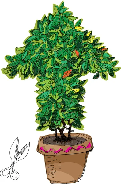 Декоративное растение - мультфильм — стоковый вектор