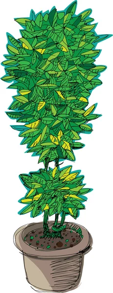 Декоративное растение - мультфильм — стоковый вектор
